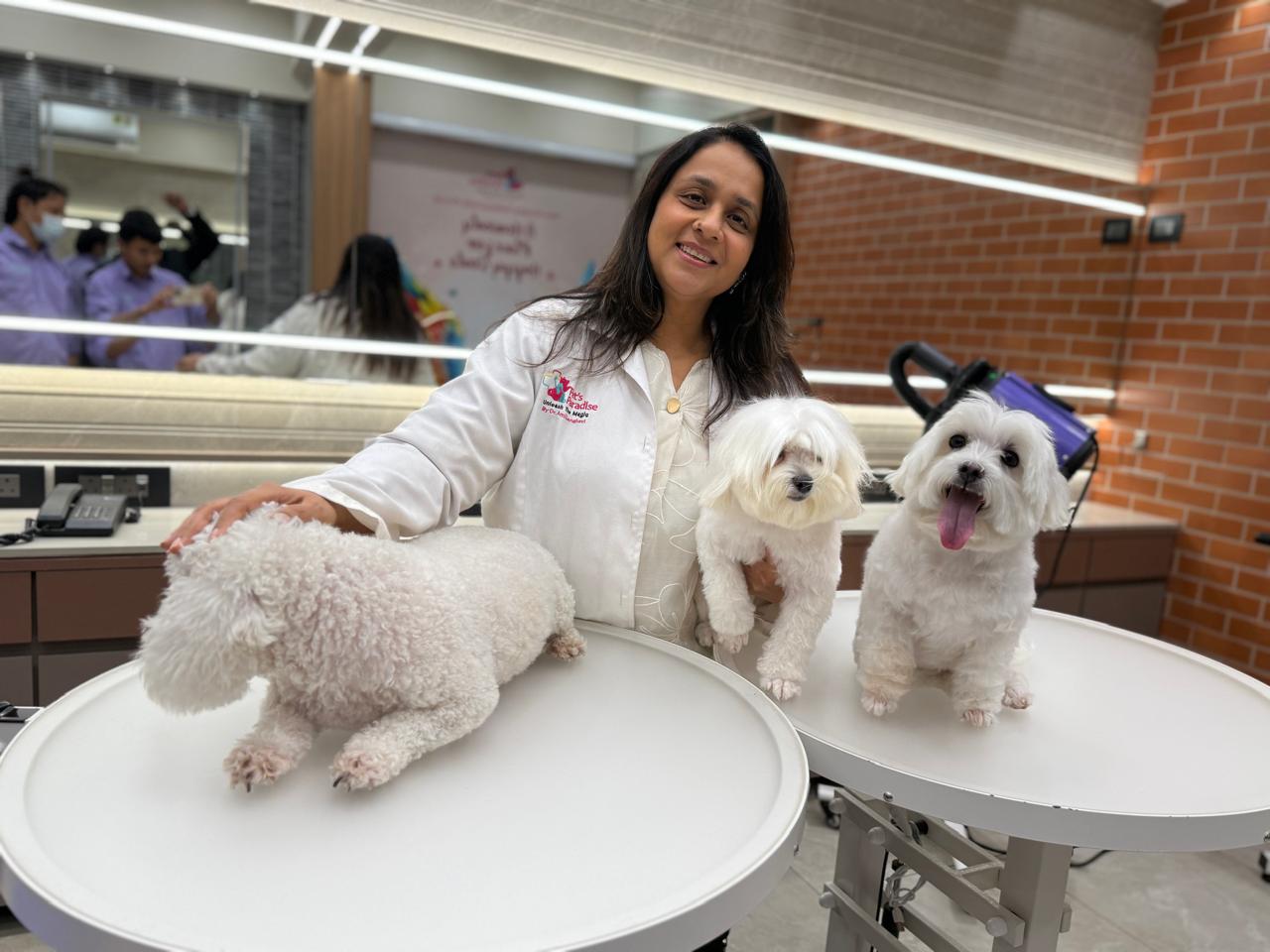 Freshly groomed dog at Pet's Paradise